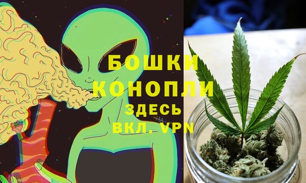spice Алзамай