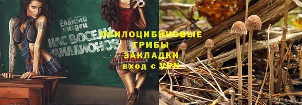 spice Алзамай